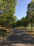 公园的路