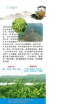 生态农业茶园展架