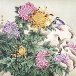 菊花