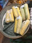 玉米