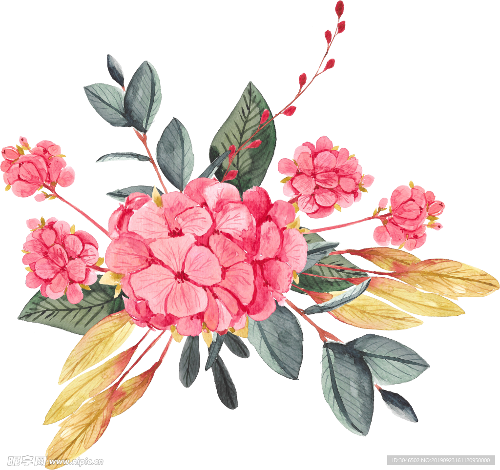 水彩手绘花卉素材图片