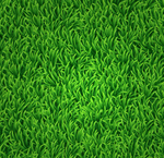 矢量草地