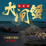 大闸蟹淘宝 大闸蟹促销