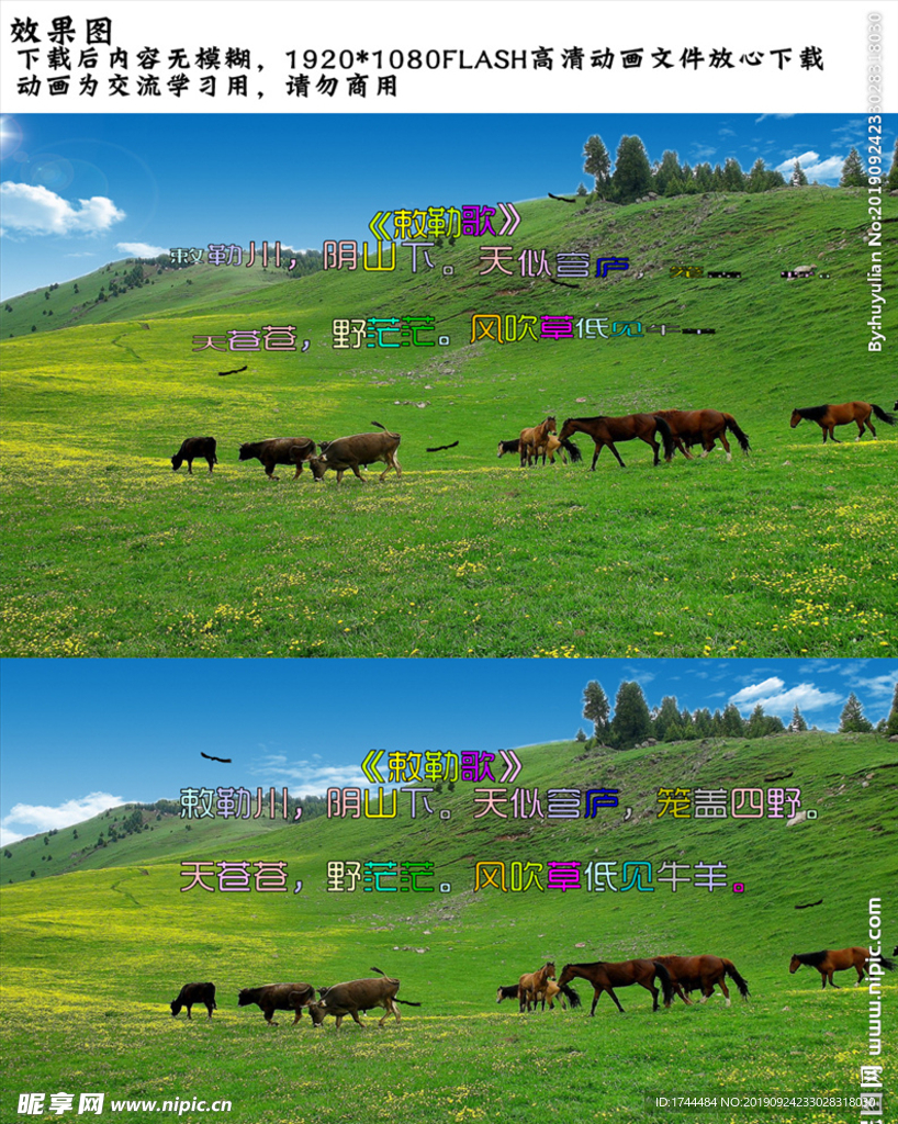草原风景牛马一家亲视频