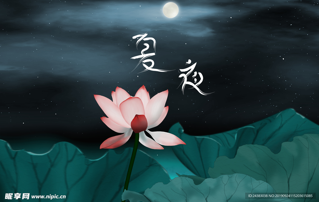 荷花 莲花 背景  夜景