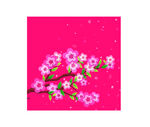 粉色樱花树枝花朵矢量