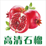 石榴素材