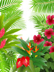 植物花卉