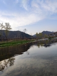 风景