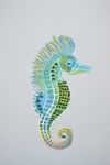 海马