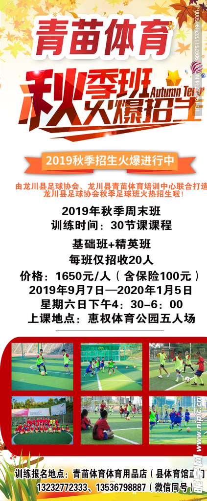 体育展架