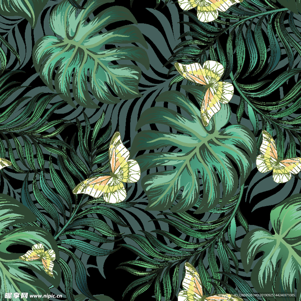 热带植物