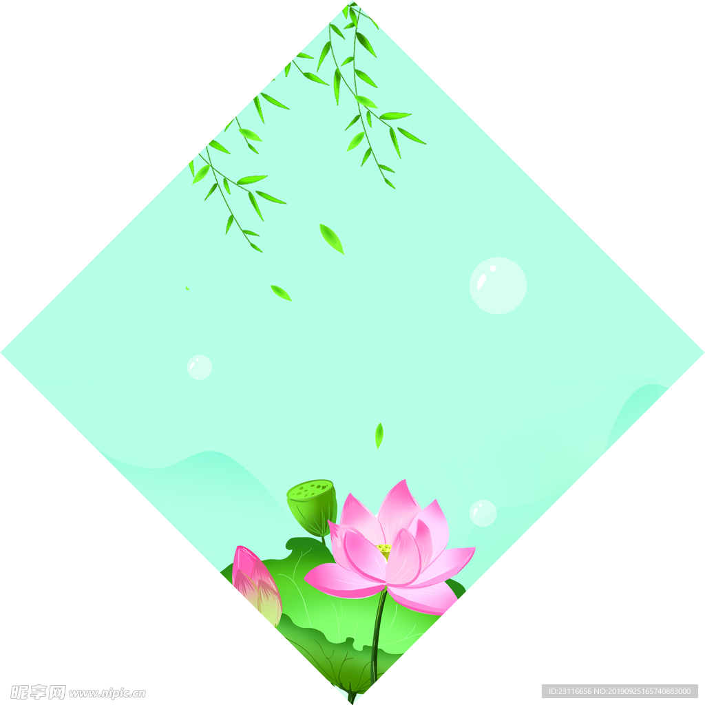 清新荷花