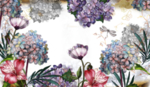 小清新植物水彩插画
