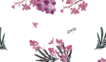 小清新植物水彩插画
