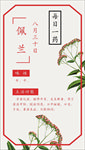 古风朴素每日一签