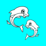 卡通海豚