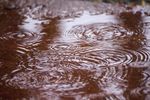 雨水滴在水坑里