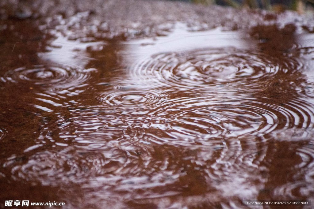 雨水滴在水坑里