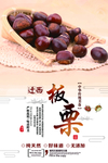 板粟