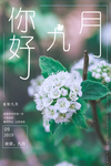 九月海报