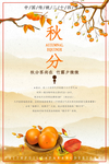 秋季海报