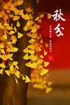秋季海报