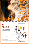 秋季海报