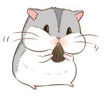 仓鼠
