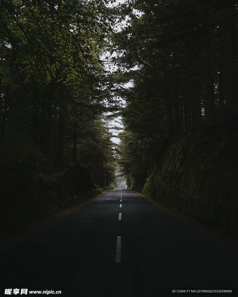 路
