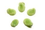 蚕豆