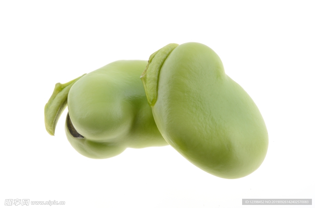 蚕豆