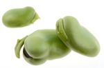 蚕豆