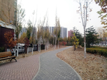 公园小路