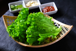 素菜类生菜