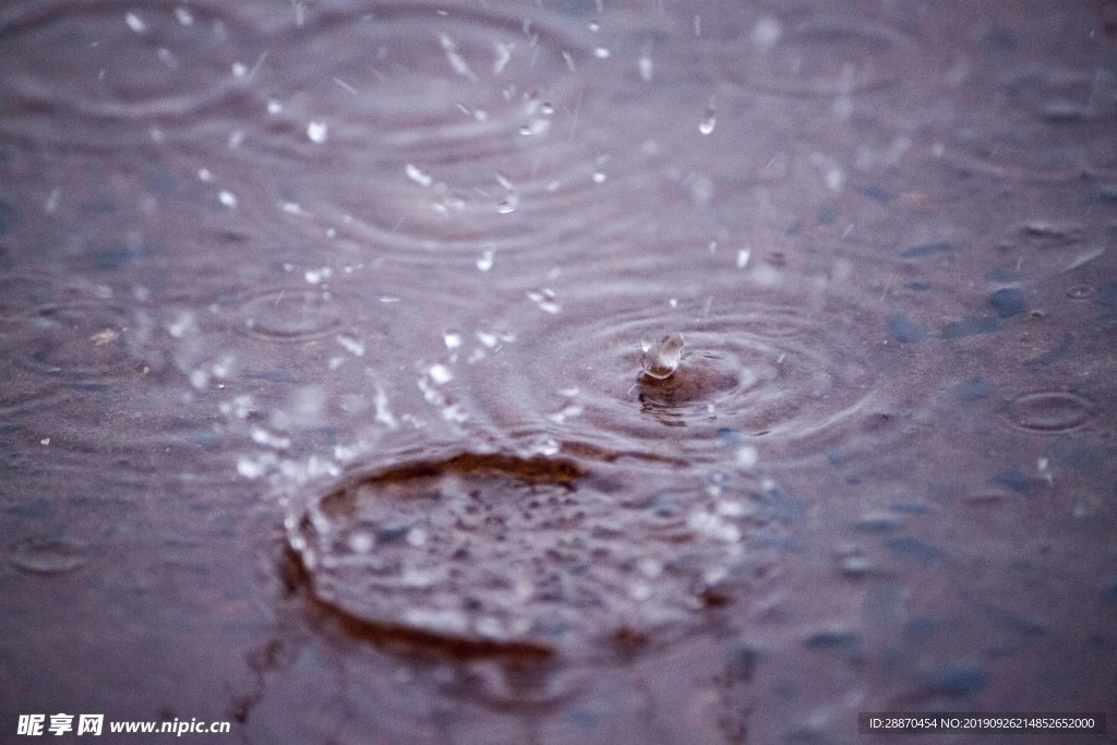 雨水滴飞溅在水坑里