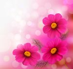 花卉