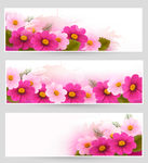 花卉