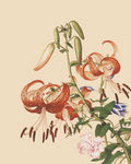 花鸟画