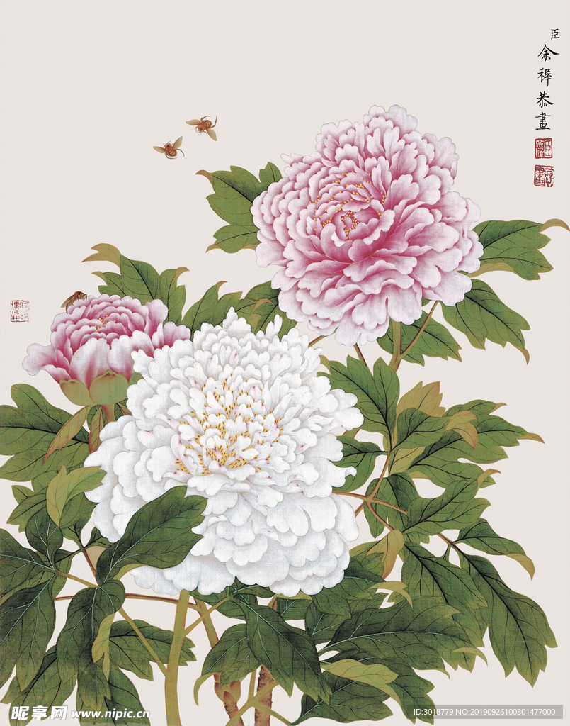 花鸟画