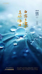 白露