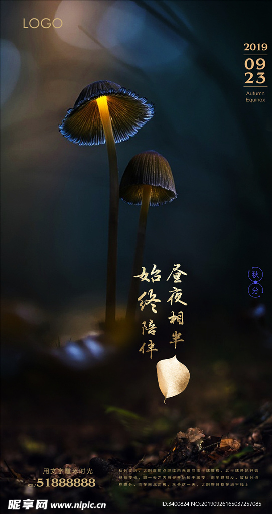 秋分