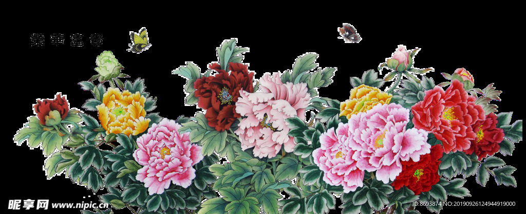牡丹花