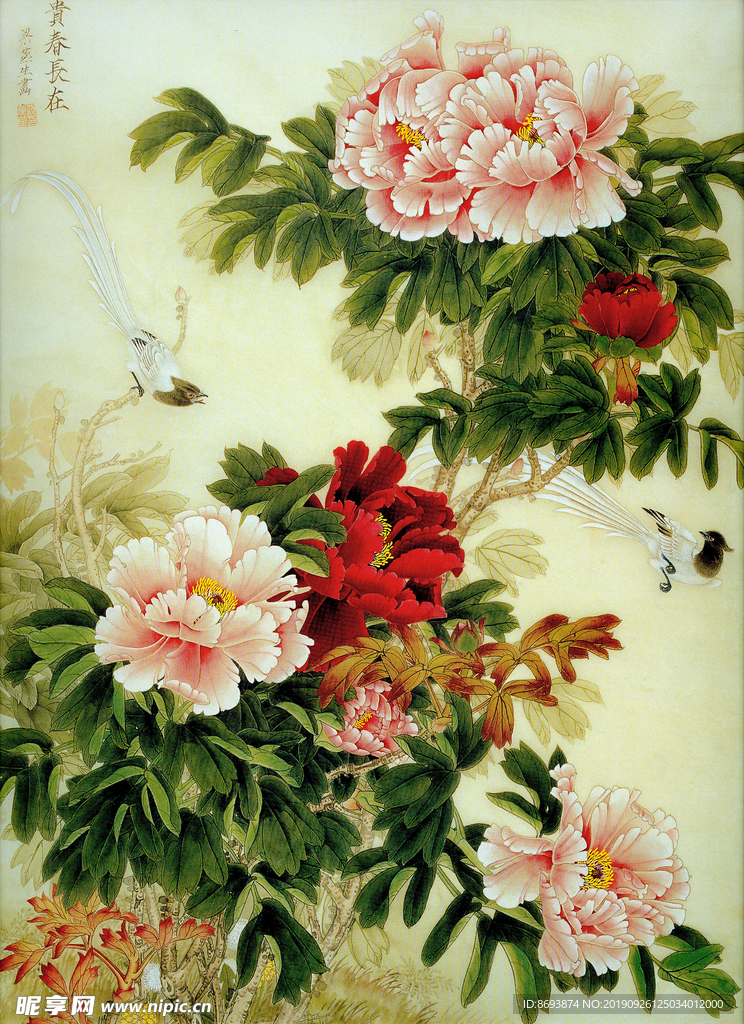 国画牡丹花