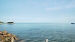 大海