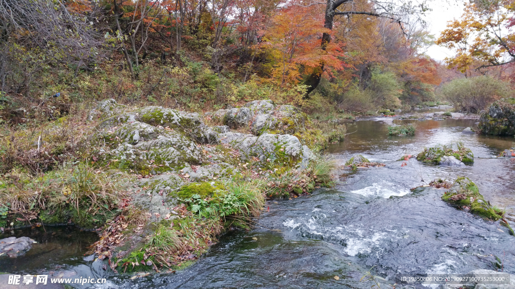 秋天山谷里的溪流