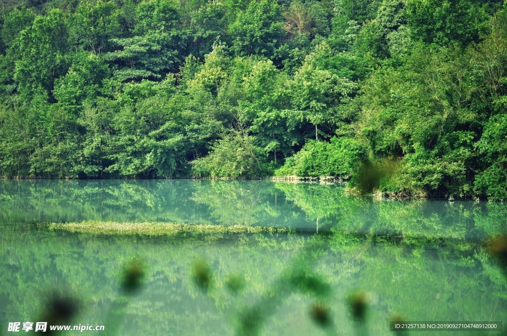 楠溪江风景