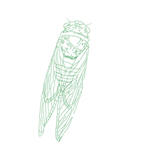 蝉