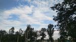 蓝天绿树