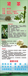 猫须草肾茶展架